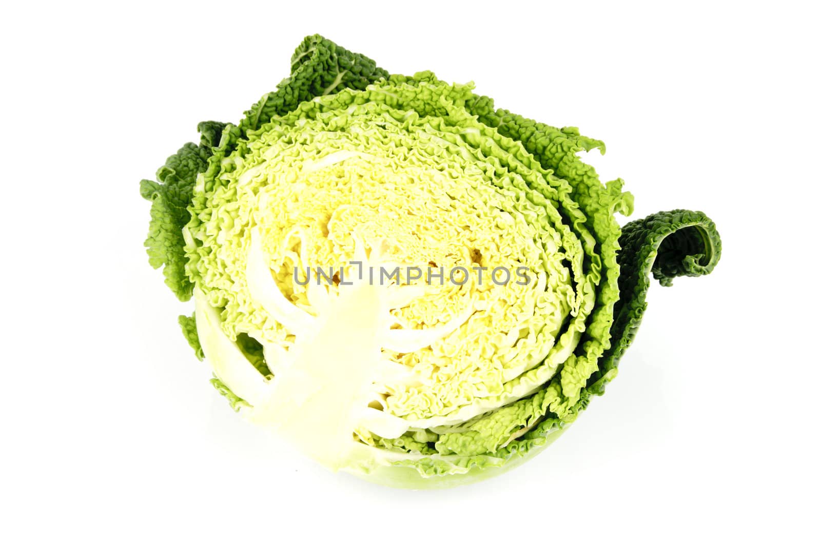 Half a raw green cabbage on a reflective white background