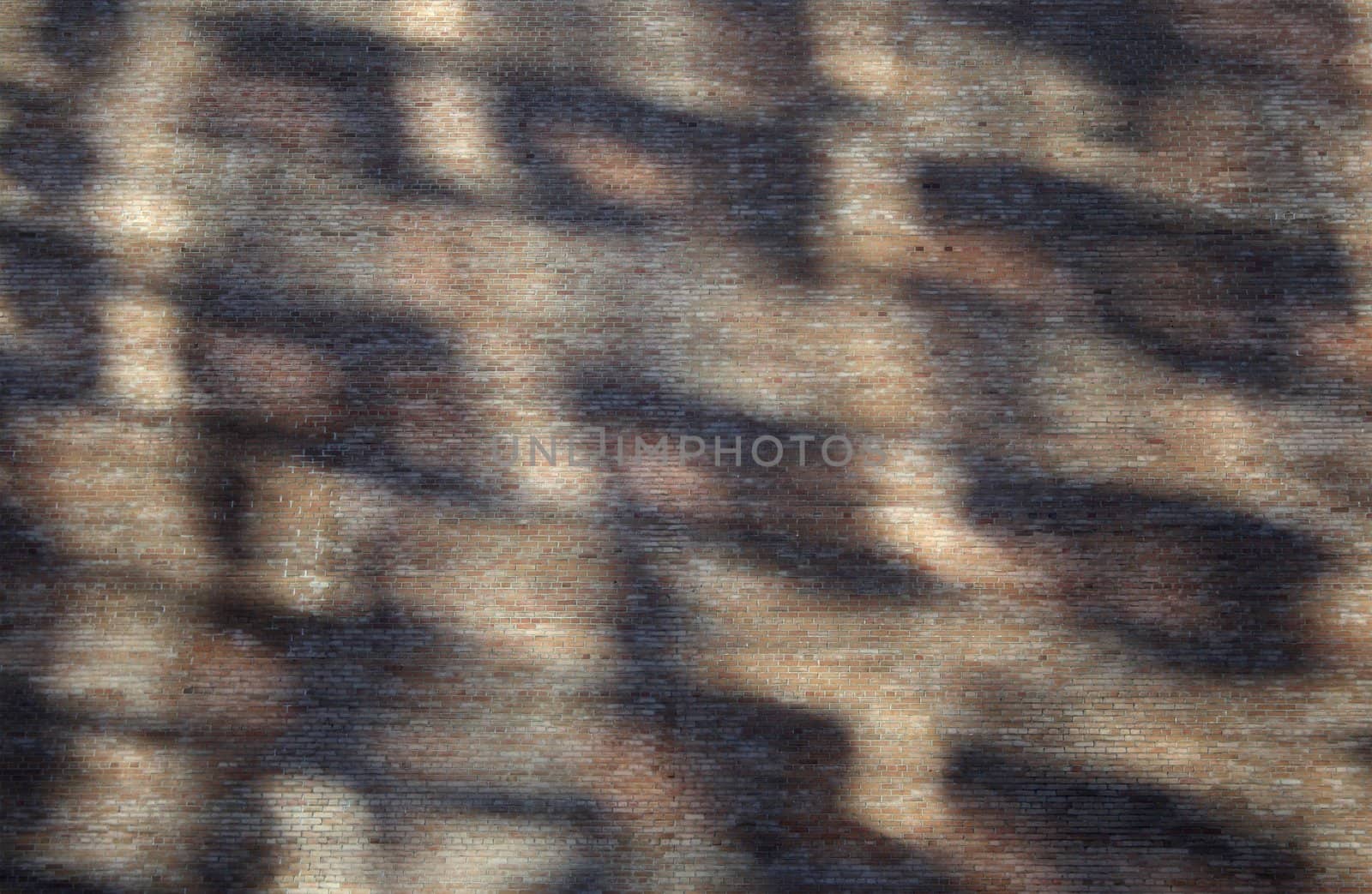 Abstract shadows on a brick wall � reflections of windows in the sunlight.