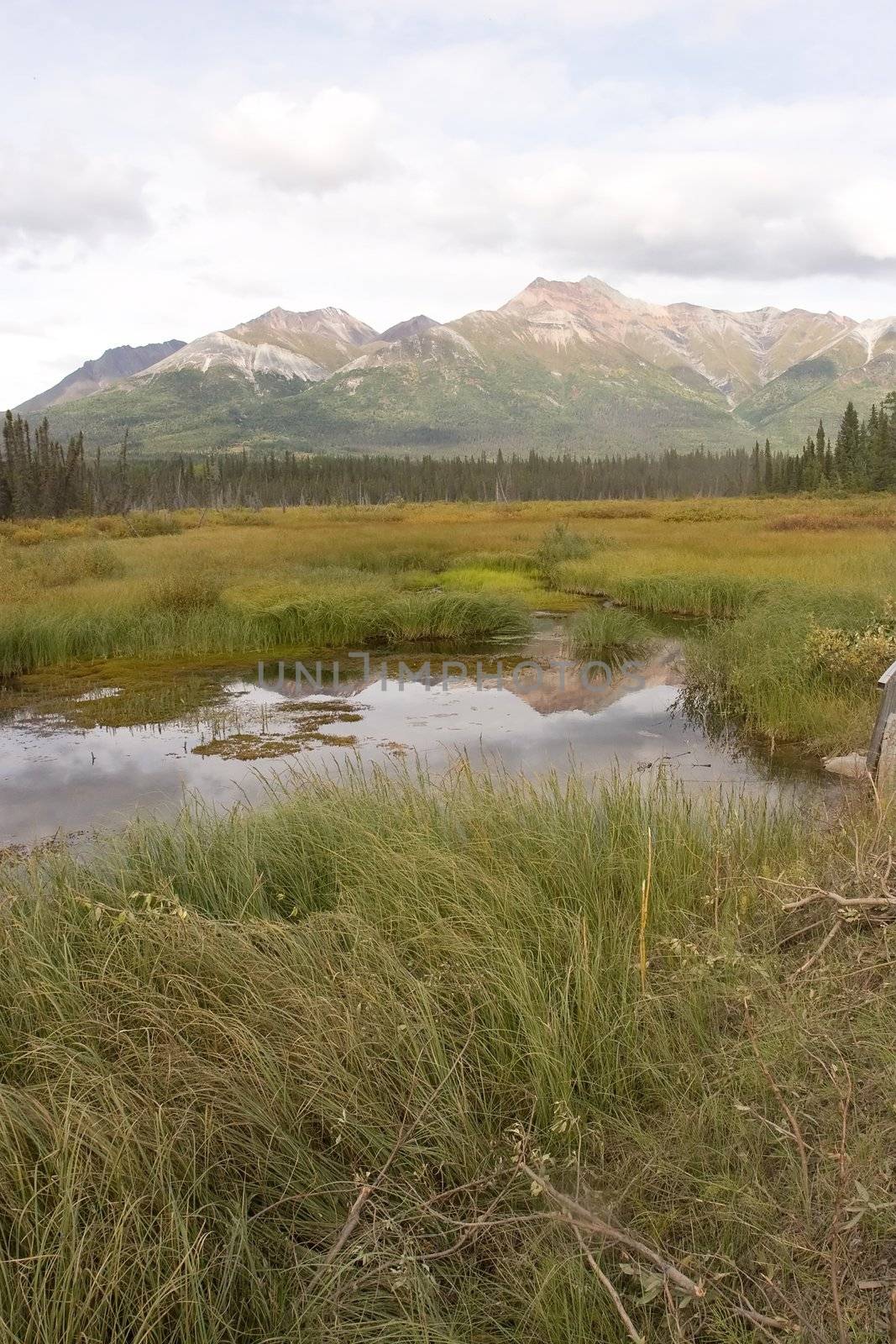 Wrangell-St. Elias National Park and Preserve is a United States National Park in southern Alaska.