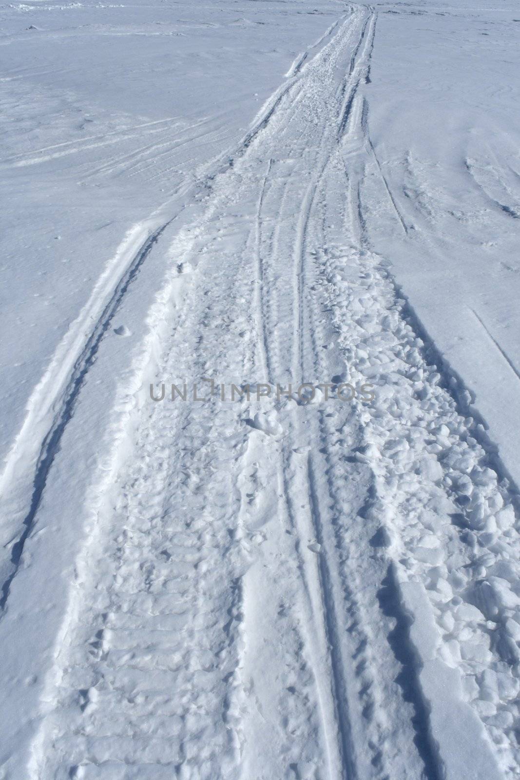 Skidoo track crossing the snowy winter terrain.