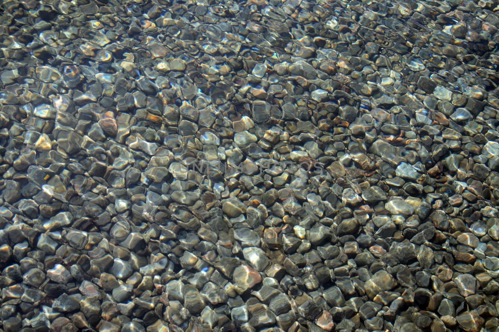 Bottom of a pond covered with stones seen through transparent water.