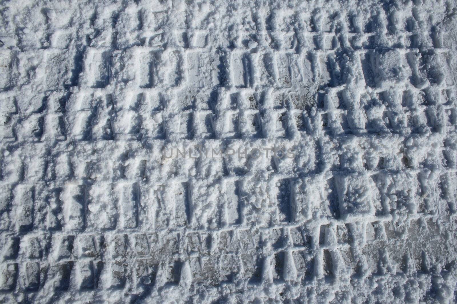 Car tracks imprinted in snow.