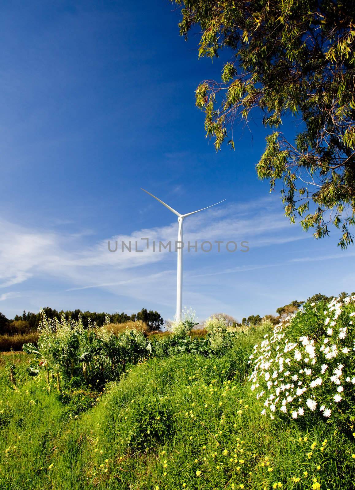 Wind Turbine by Iko