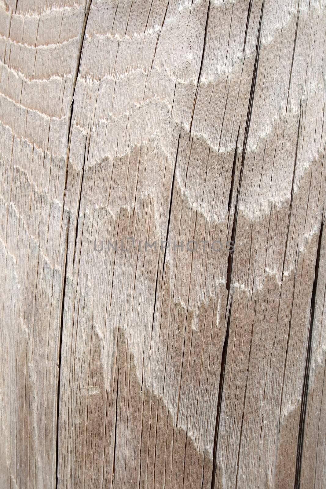 Wavy cracked wood texture by anikasalsera