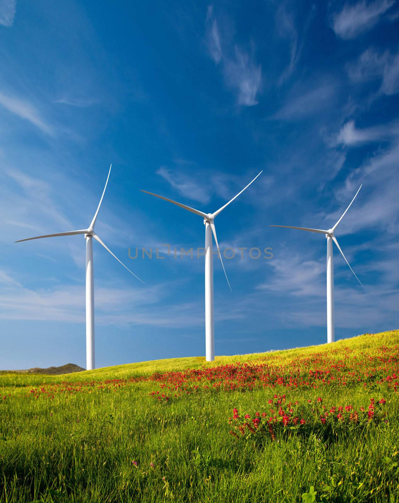 Beautiful green meadow with Wind turbines generating electricity
