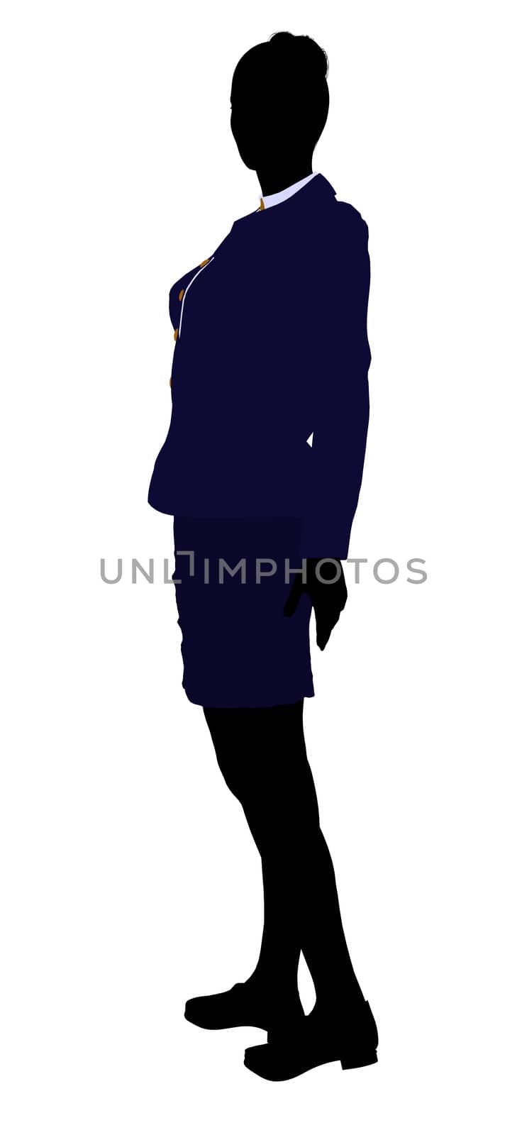 Female business executive silhouette on a white background
