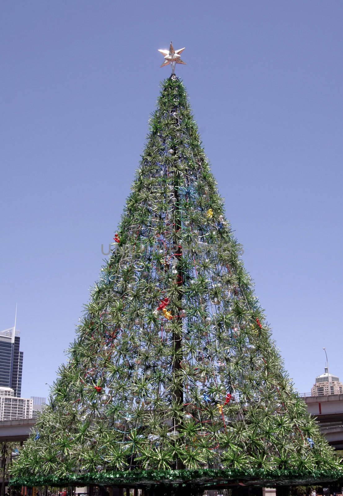 Tall Outdoor Christmas Tree With Decoration, Summer in Sydney, Australia