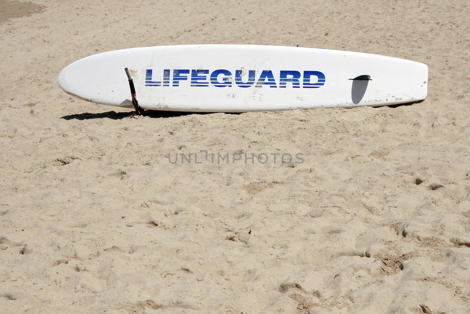 A Lifeguard Rescue Surfboard At The Beach, Sydney, Australia