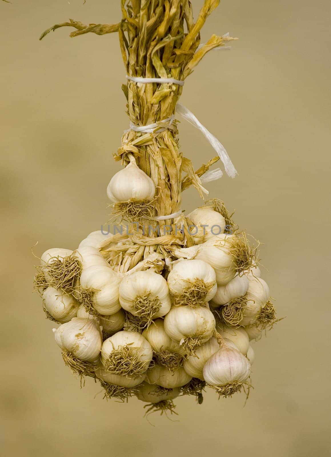Close up on garlic in turkish market