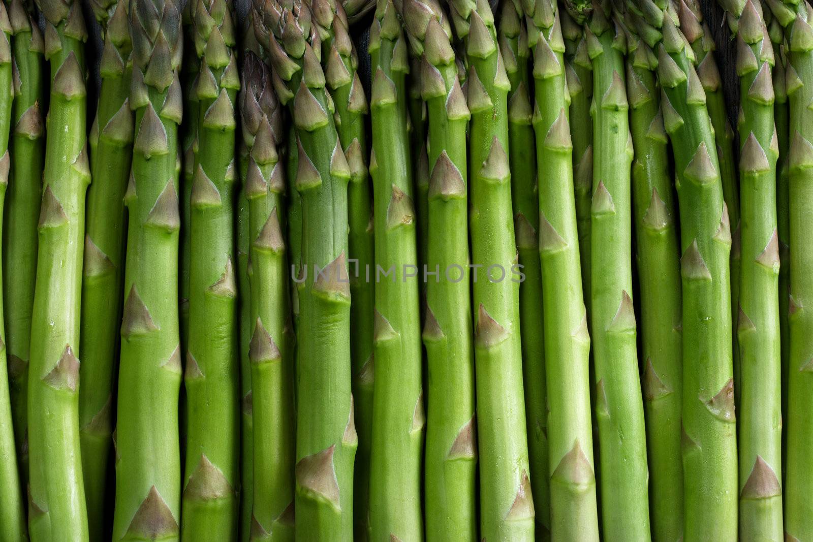 Horizontal background image of asparagus stalks.
