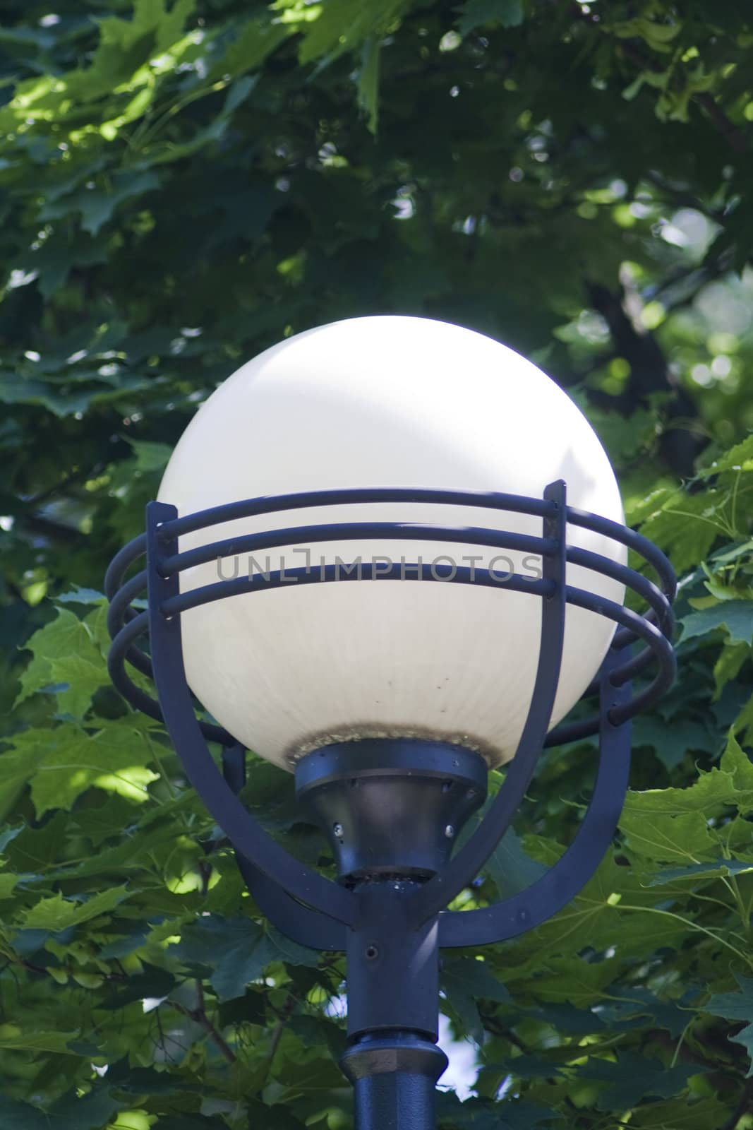 Lamp at the park on green background