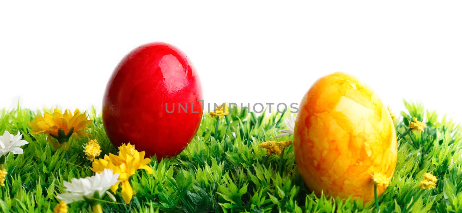 Two colored eggs on grass isolated on white background