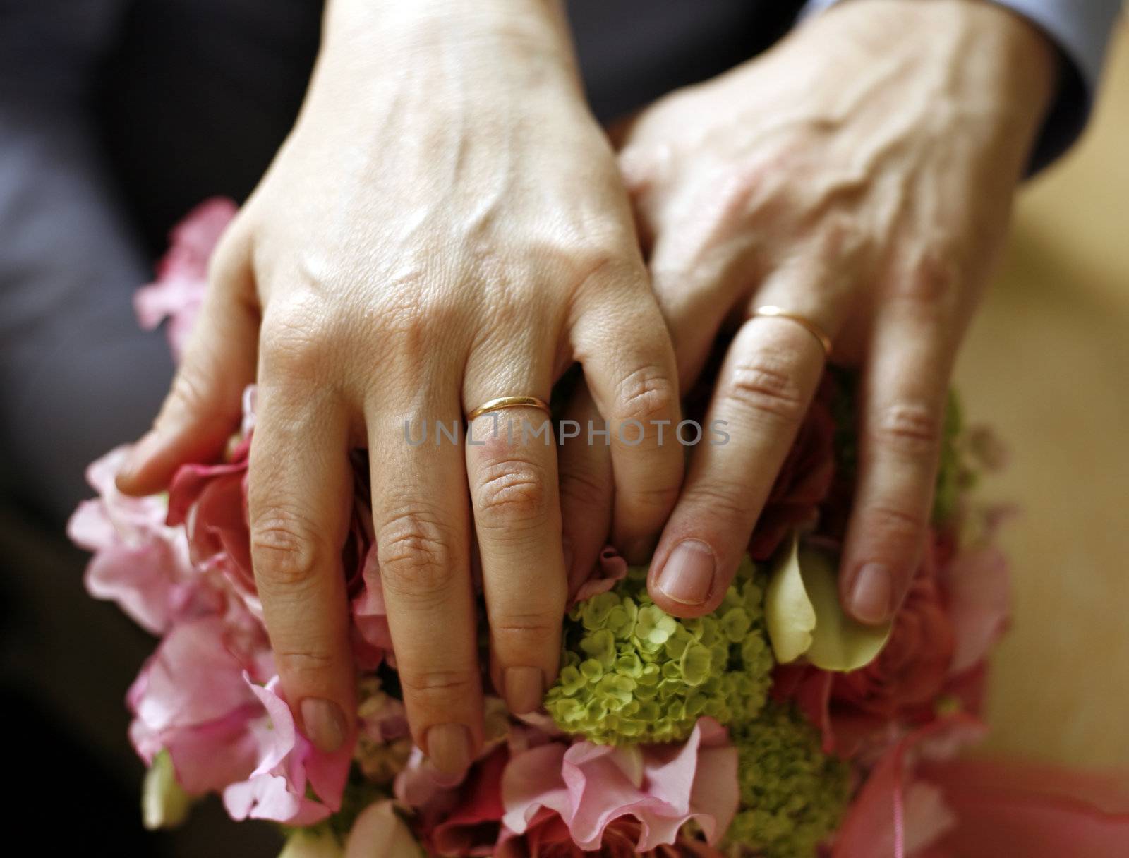 Hands of the adult of the man and the woman