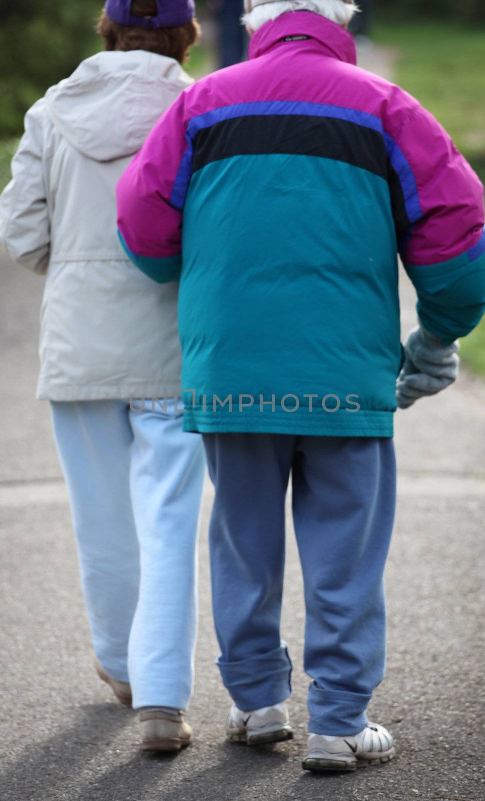 Asian seniors walking together in a park.