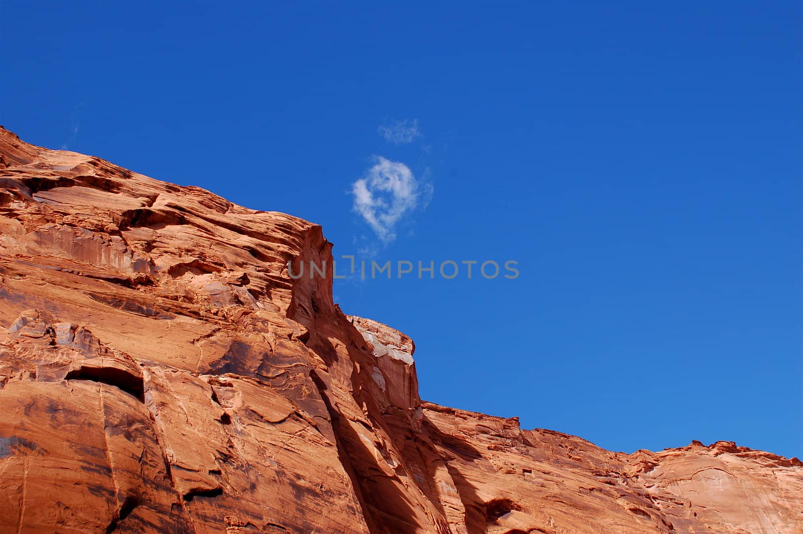 Top of a ledge of the Grand Canyon against a deep blue sky with a whisper of a cloud central to the shot.