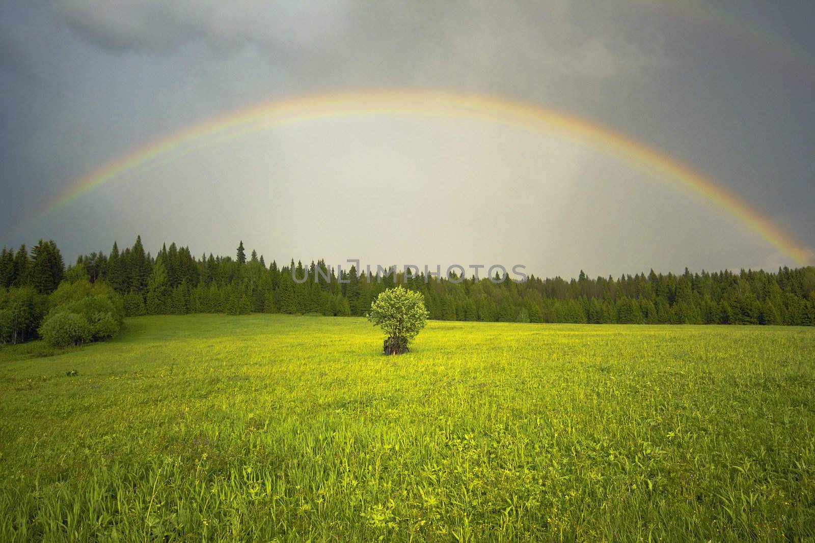 the ranbow over the field landscape