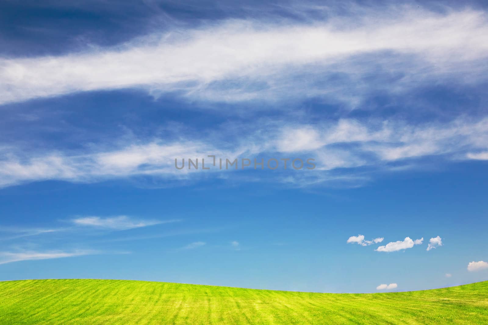Summer landscape - green fields, the blue sky