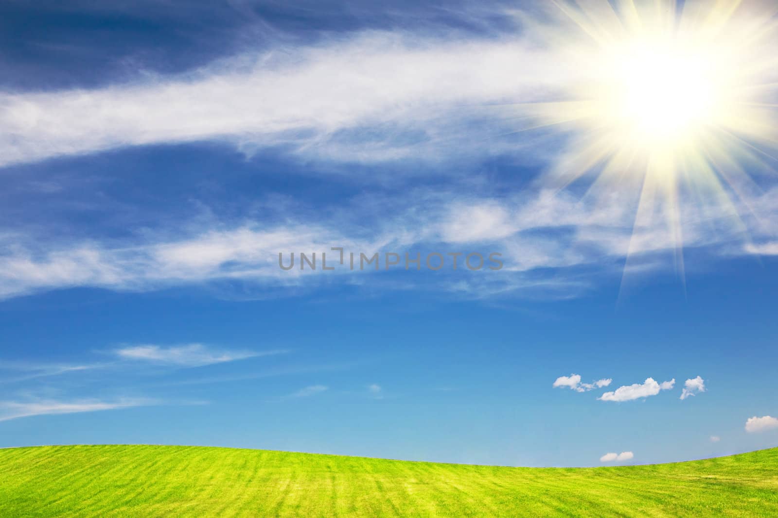 Bright sun, green fields, blue sky in summer