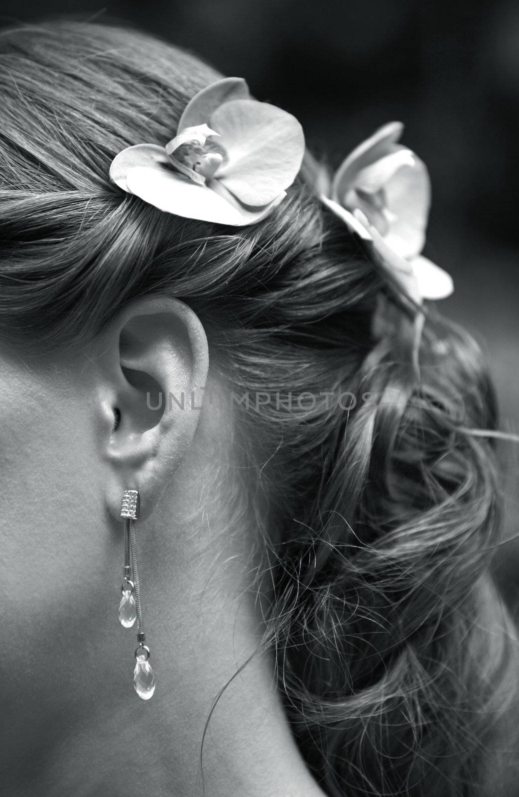 The image of the girl in ear rings 