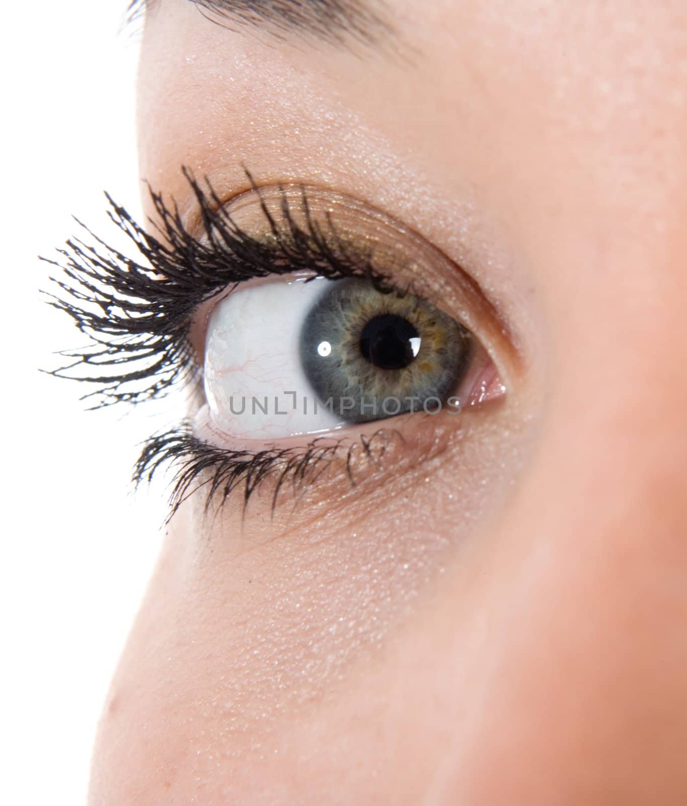  blue eyes 