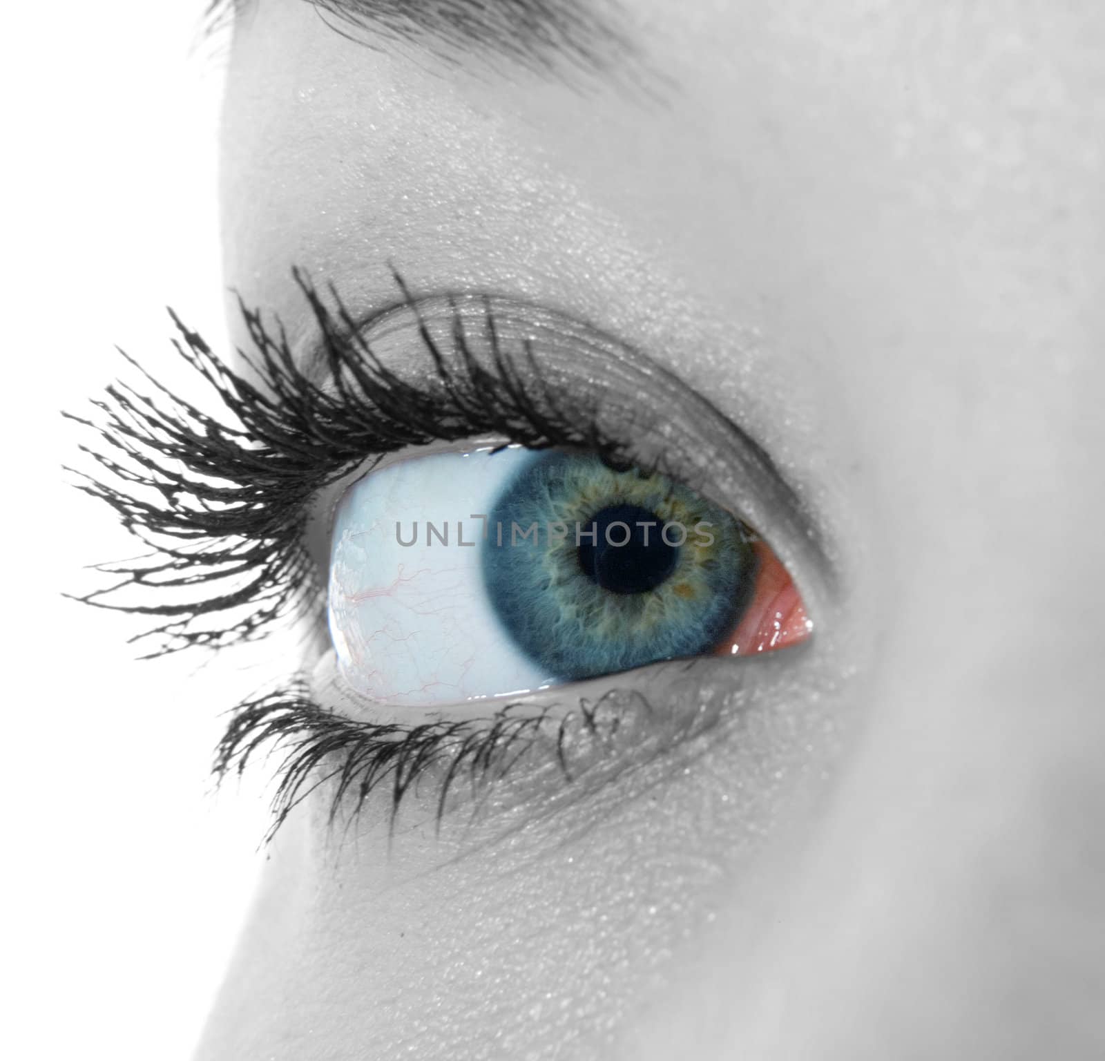  blue eyes 