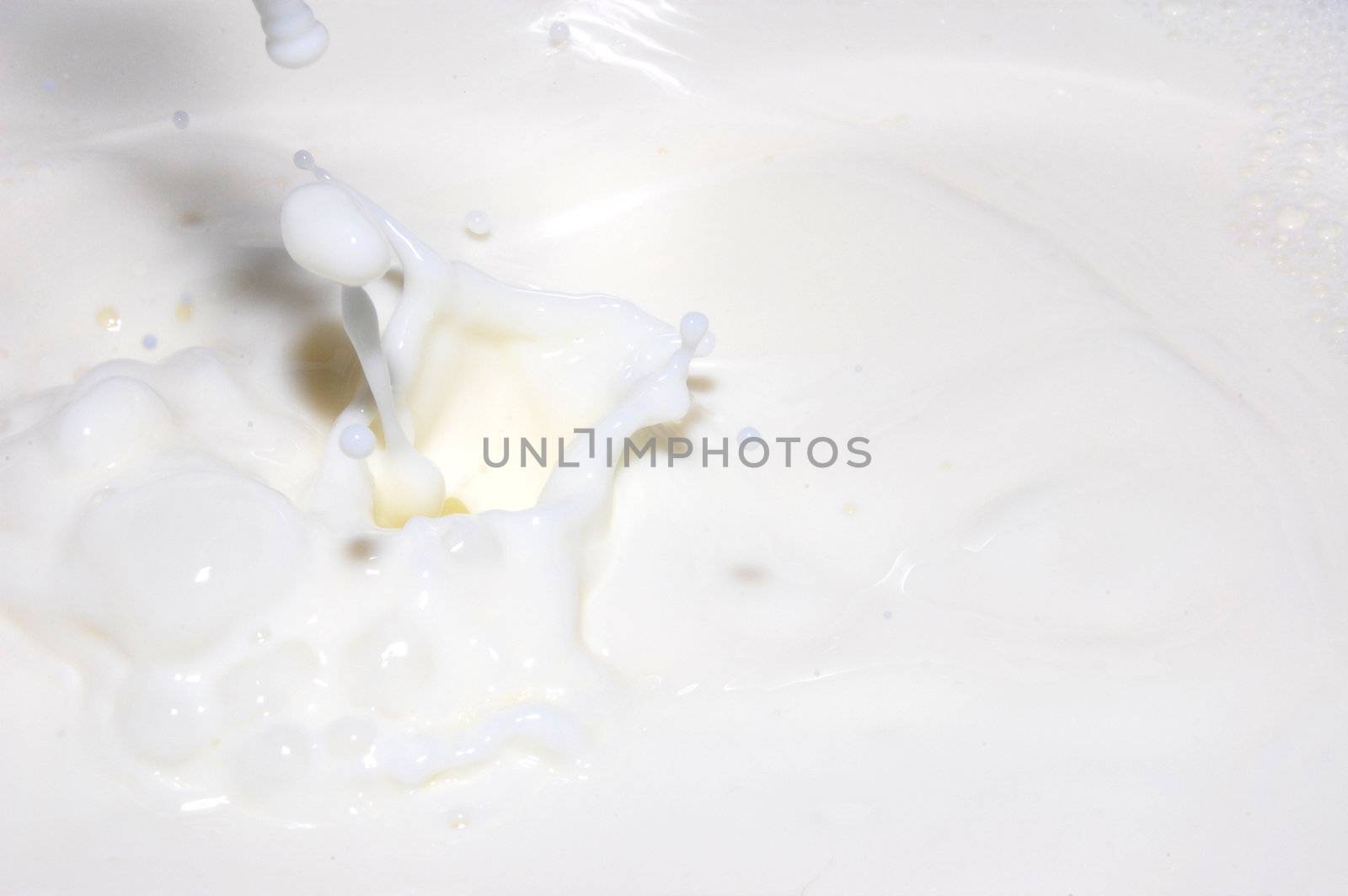 drops of milk splashing in fresh milk