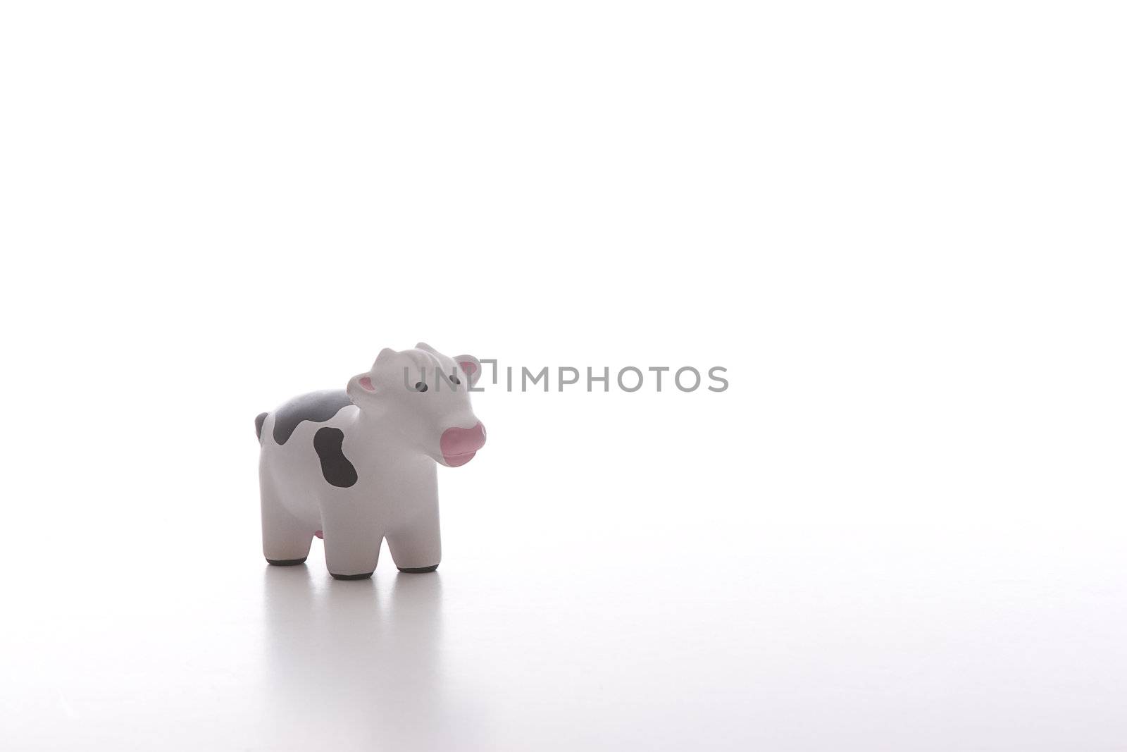 small black and white toy cow lost in a sea of white