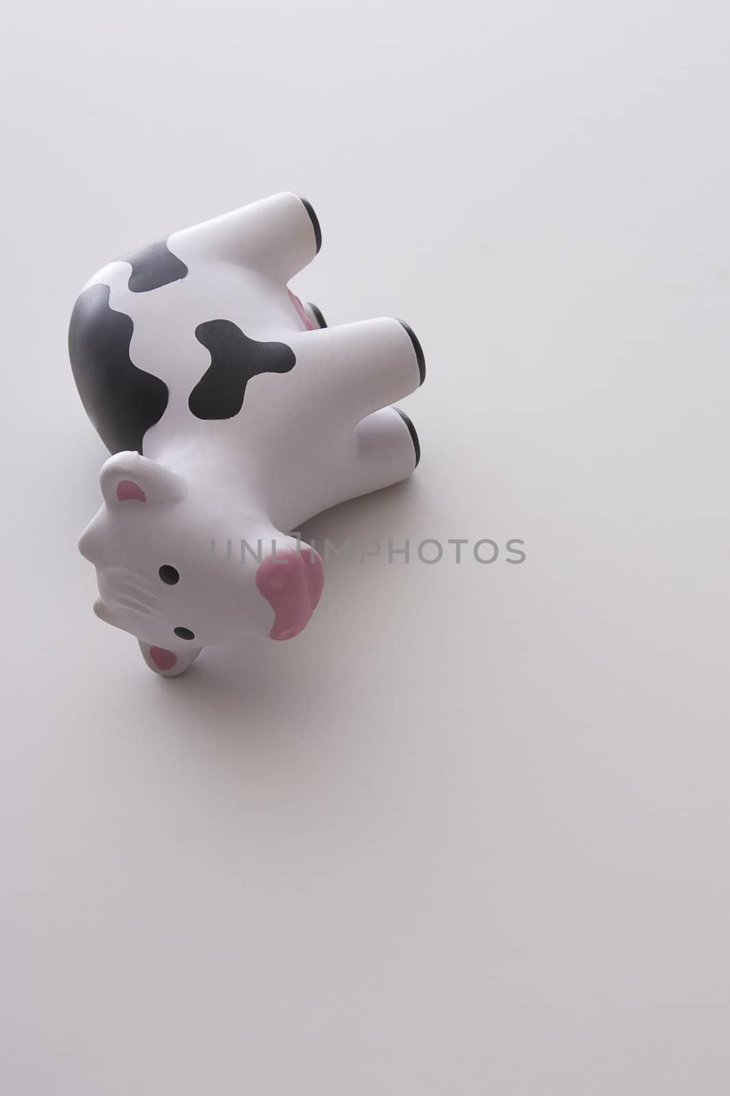 small black and white toy cow against white background tipped on it's side