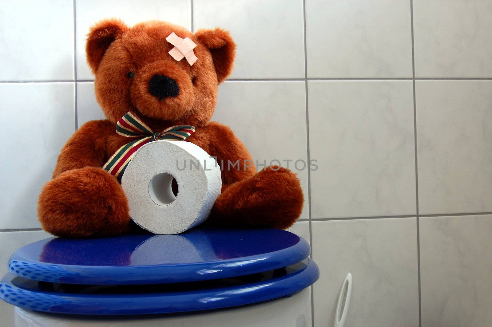 toy teddy bear with paper in the bathroom on toilet