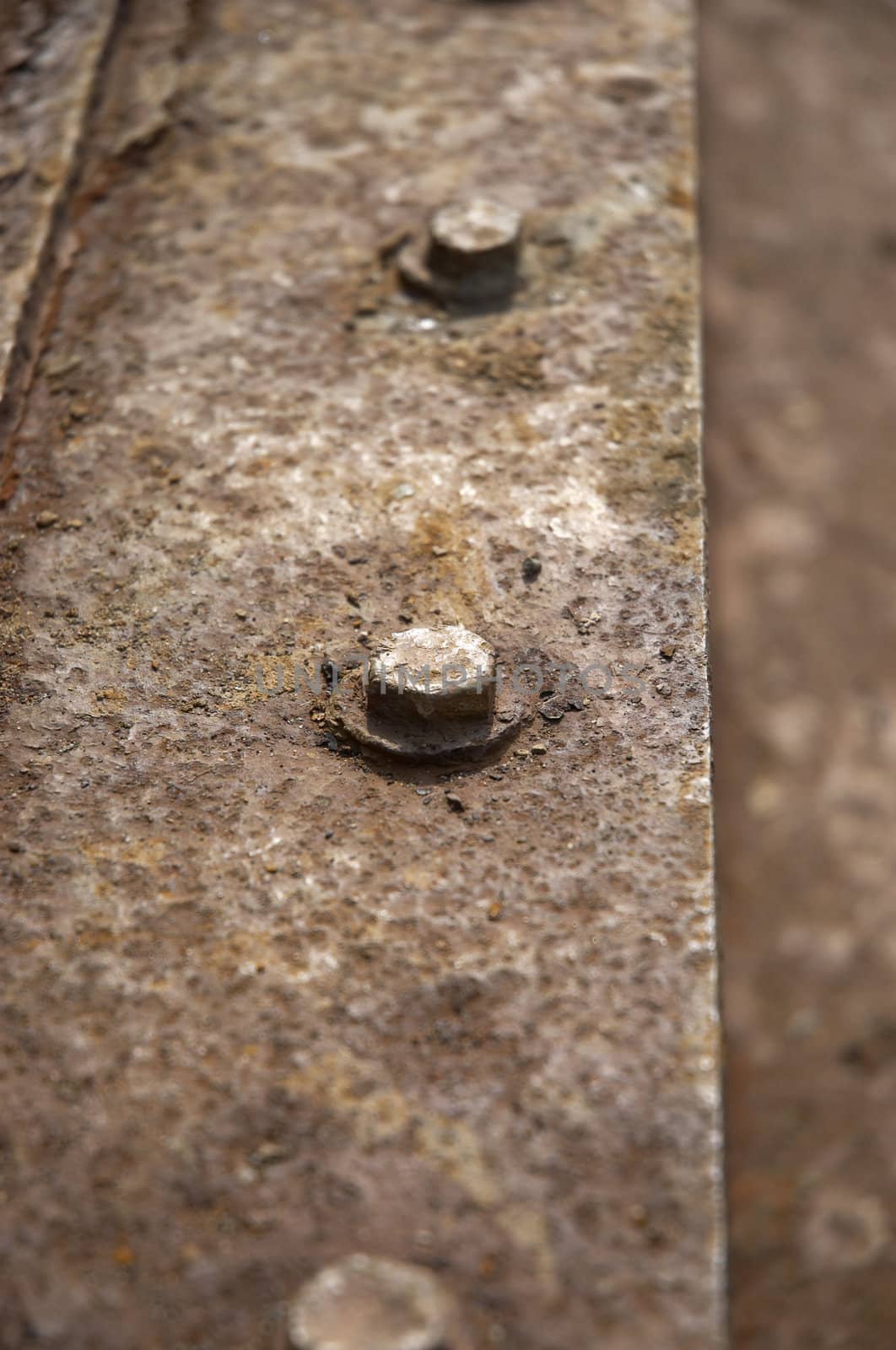 Some old rusty nuts on metal