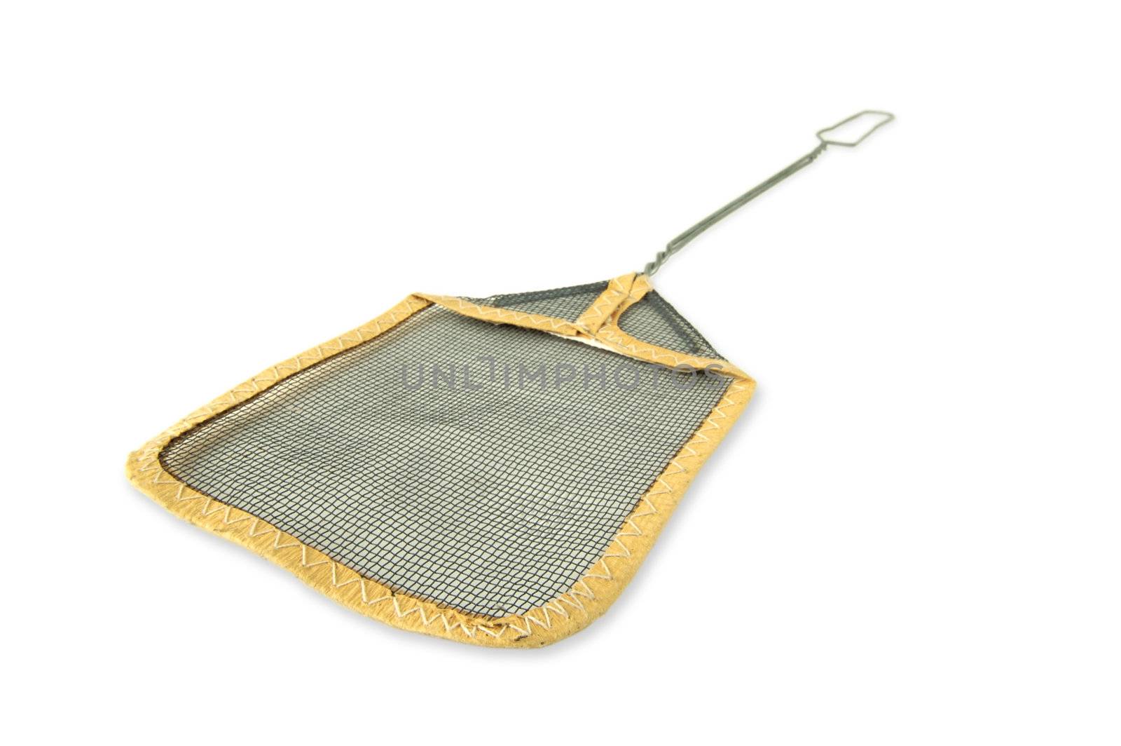 Fly Swatter with Dramatic Perspective Isolated on a White Background.
