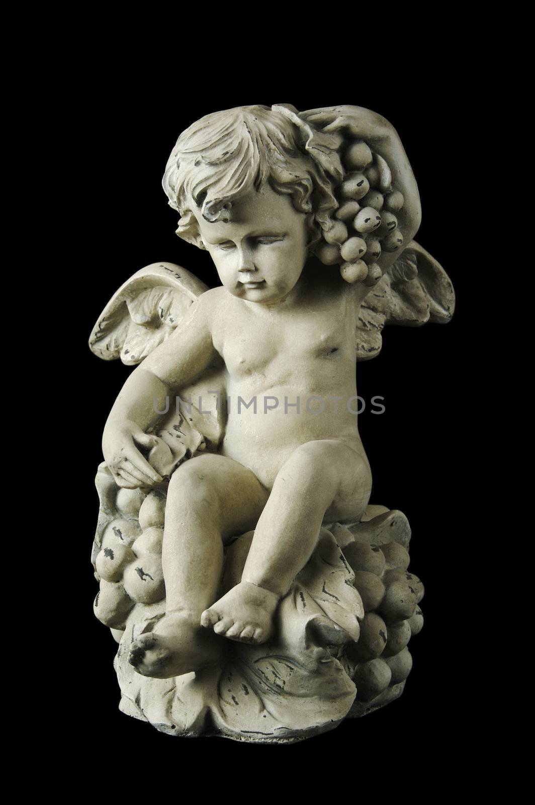 Cherub with dramatic side lighting on a black background.