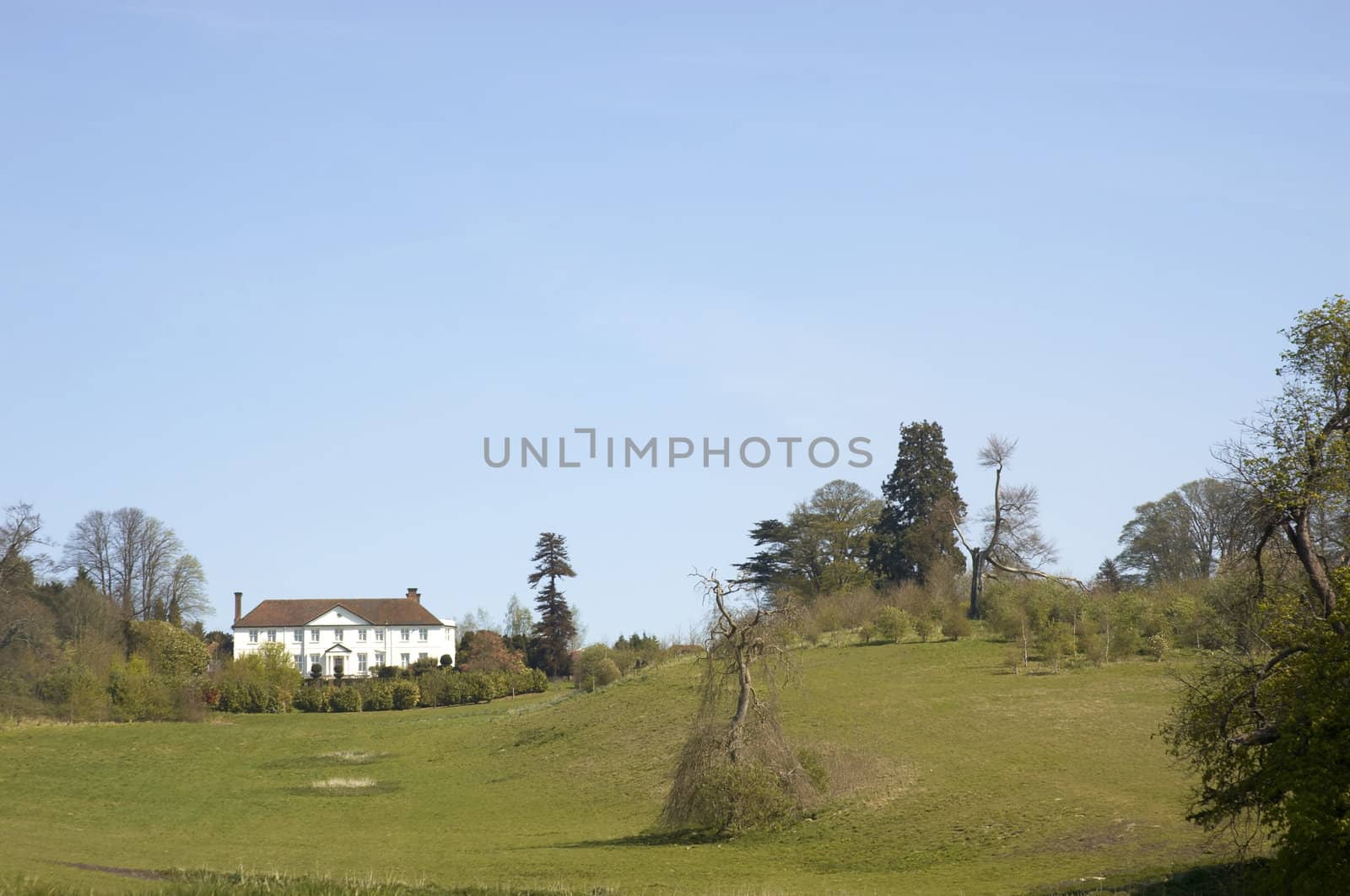 A view of a large house on top of a hill