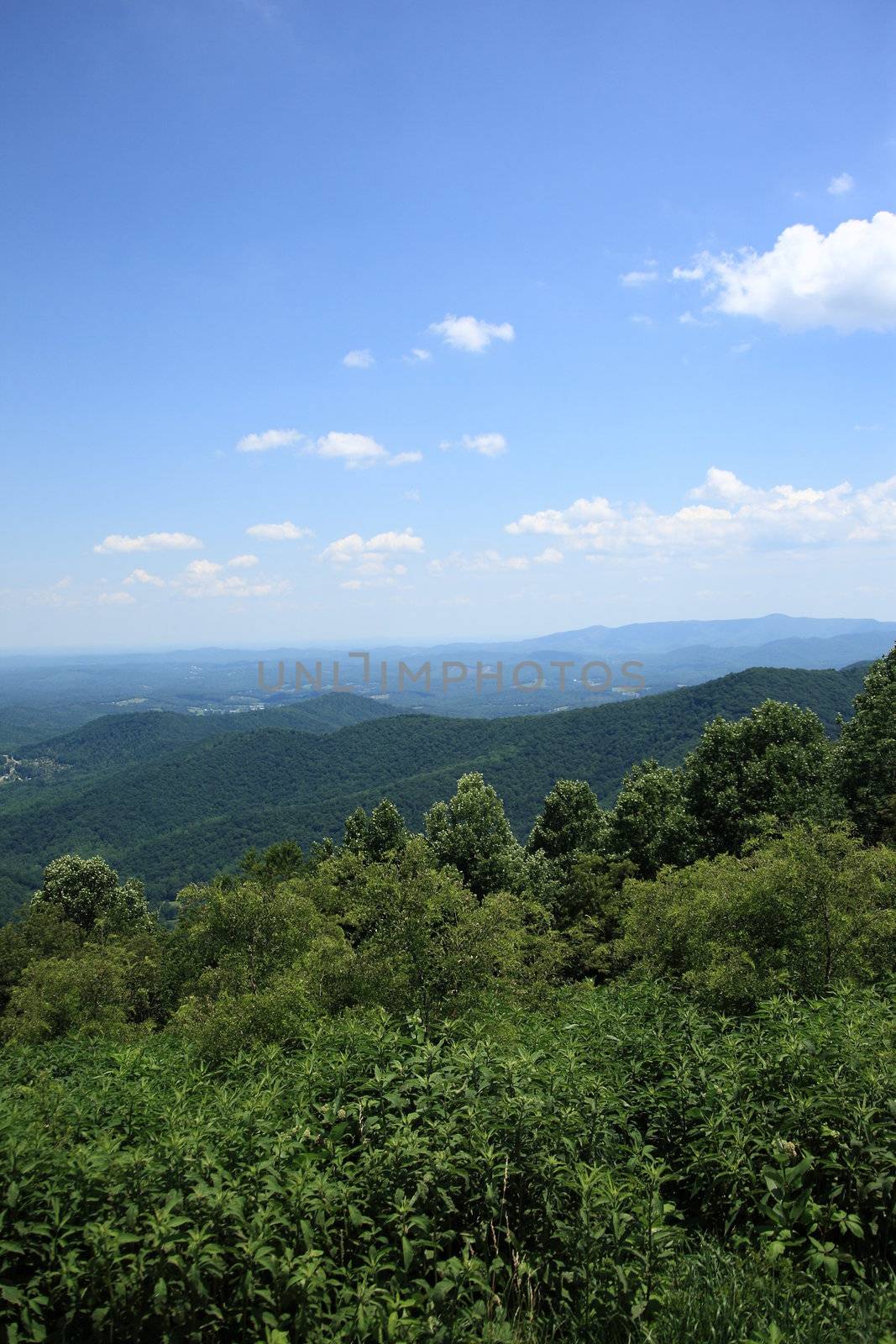 Summertime view from scenic Blue Ridge Parkway.