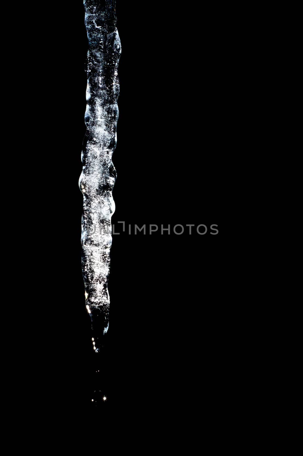 A melting icicle drips water, isolated on black