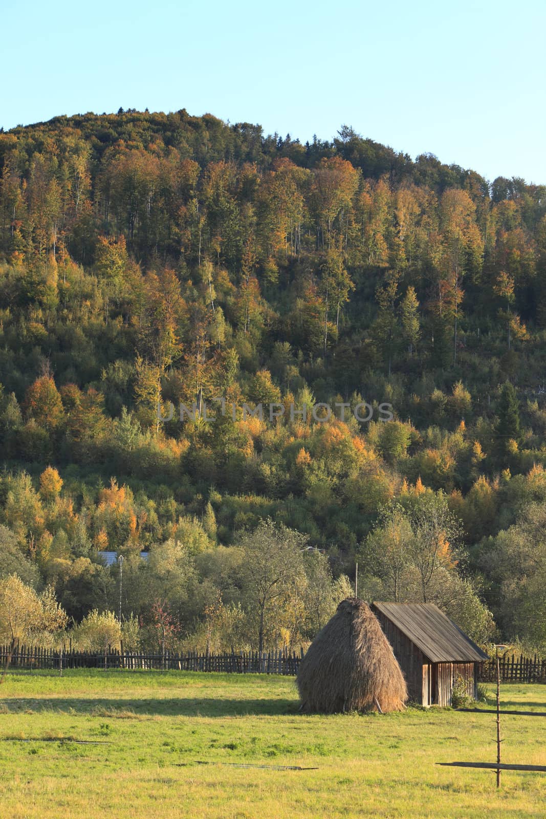 Autumn rural landscape in Bucovina,Romania