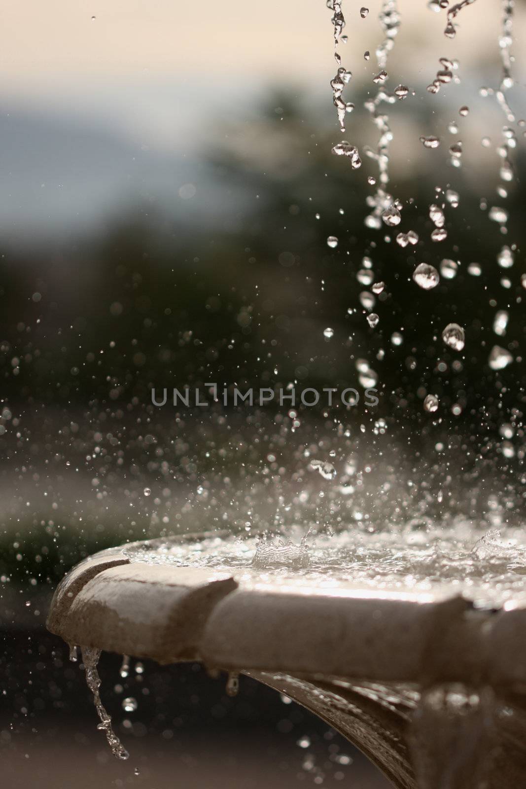 Beautiful Stop Action of a Outdoor Fountain.