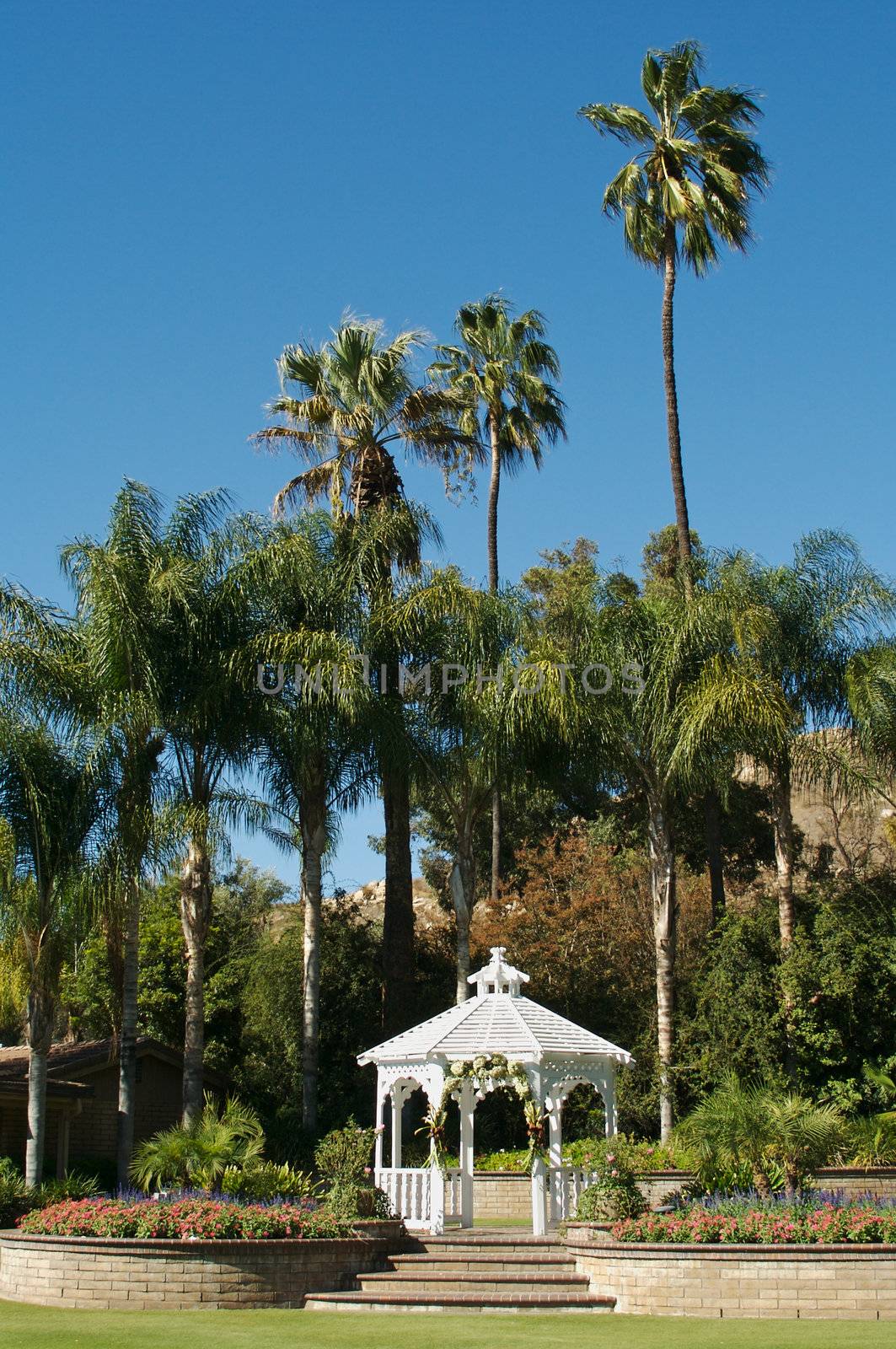 Elegant Wedding Gazebo with Steps and Lush Grass.