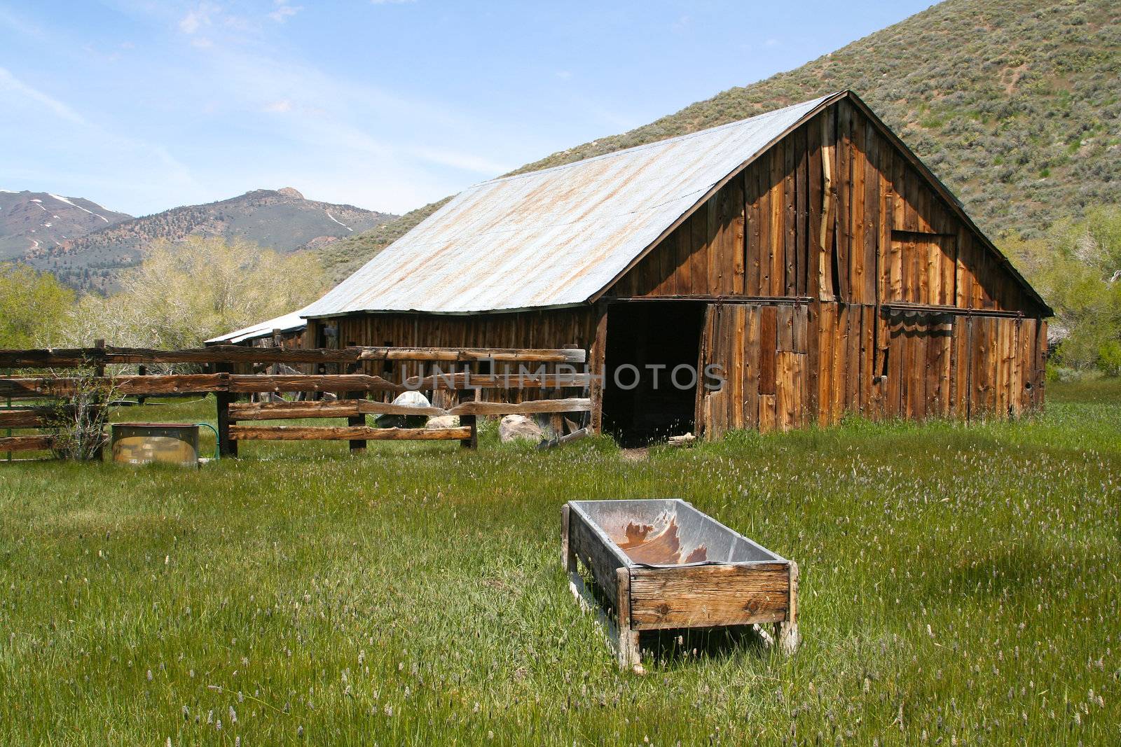 Taken in the Sierras - a rustic, old, abandoned barn rich with old wood and overgrown grass.