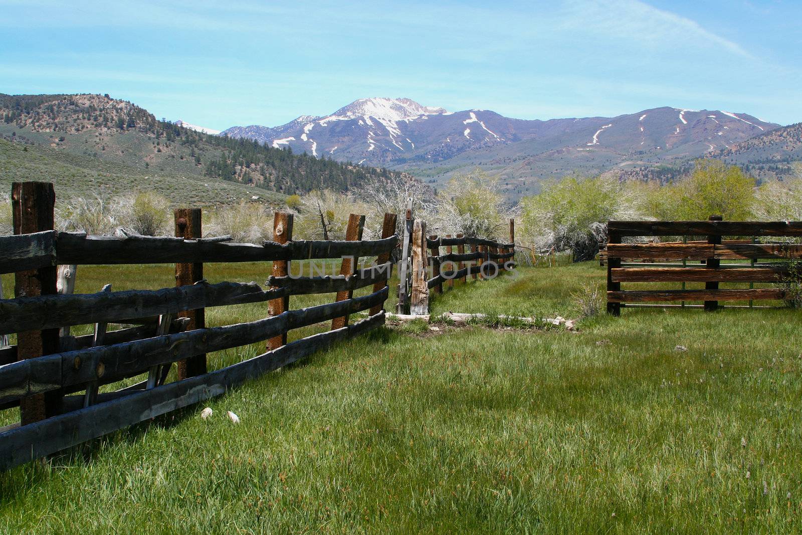 Taken in the Sierras - a rustic, old, abandoned barn rich with old wood and overgrown grass.