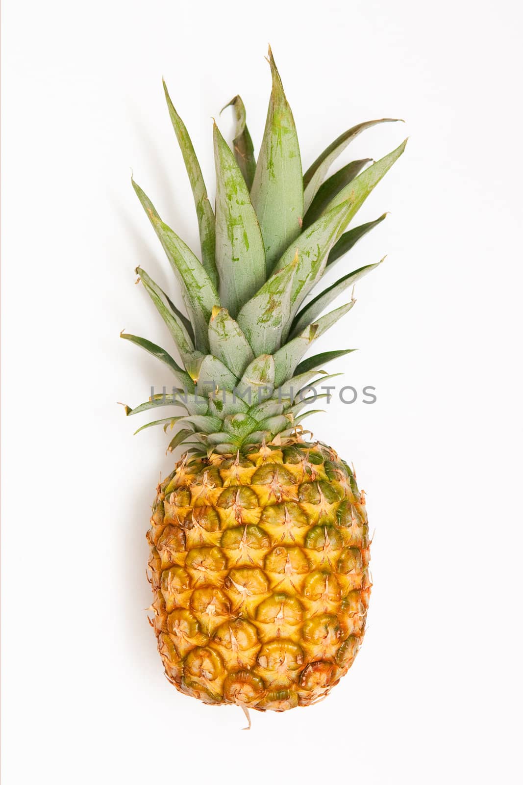  	Pineapple fruit