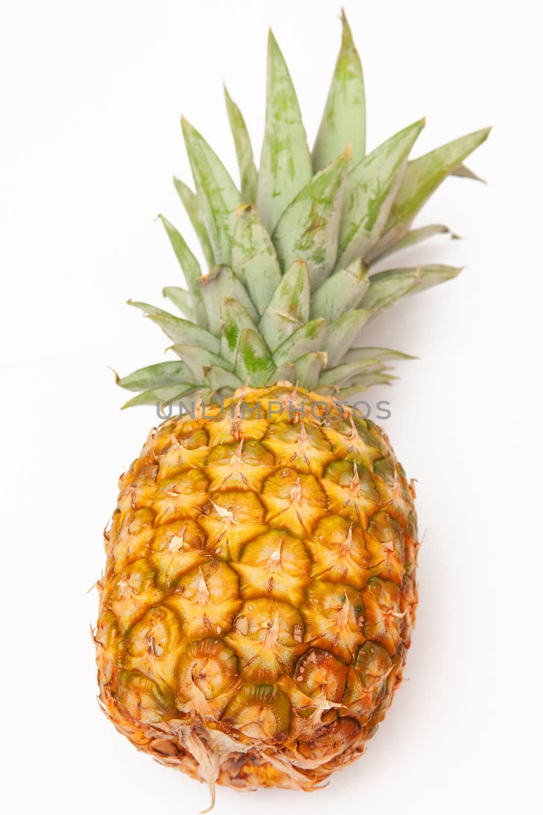 Pineapple by Yaurinko