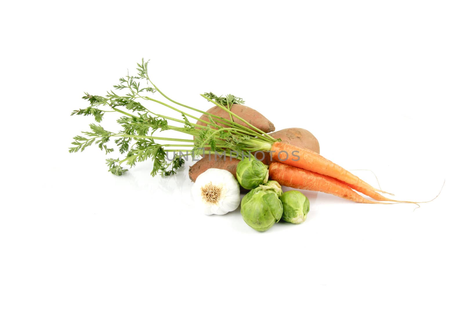 Two pink sweet potatoes with a garlic bulb, carrots and green sprouts on a reflective white background