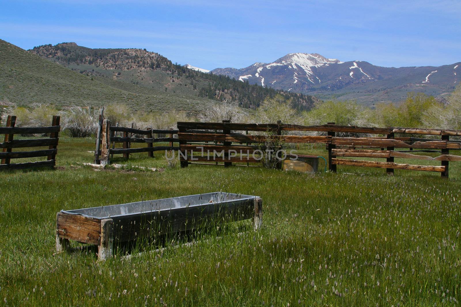 Taken in the Sierras - a rustic, old, abandoned barn rich with old wood and overgrown grass.