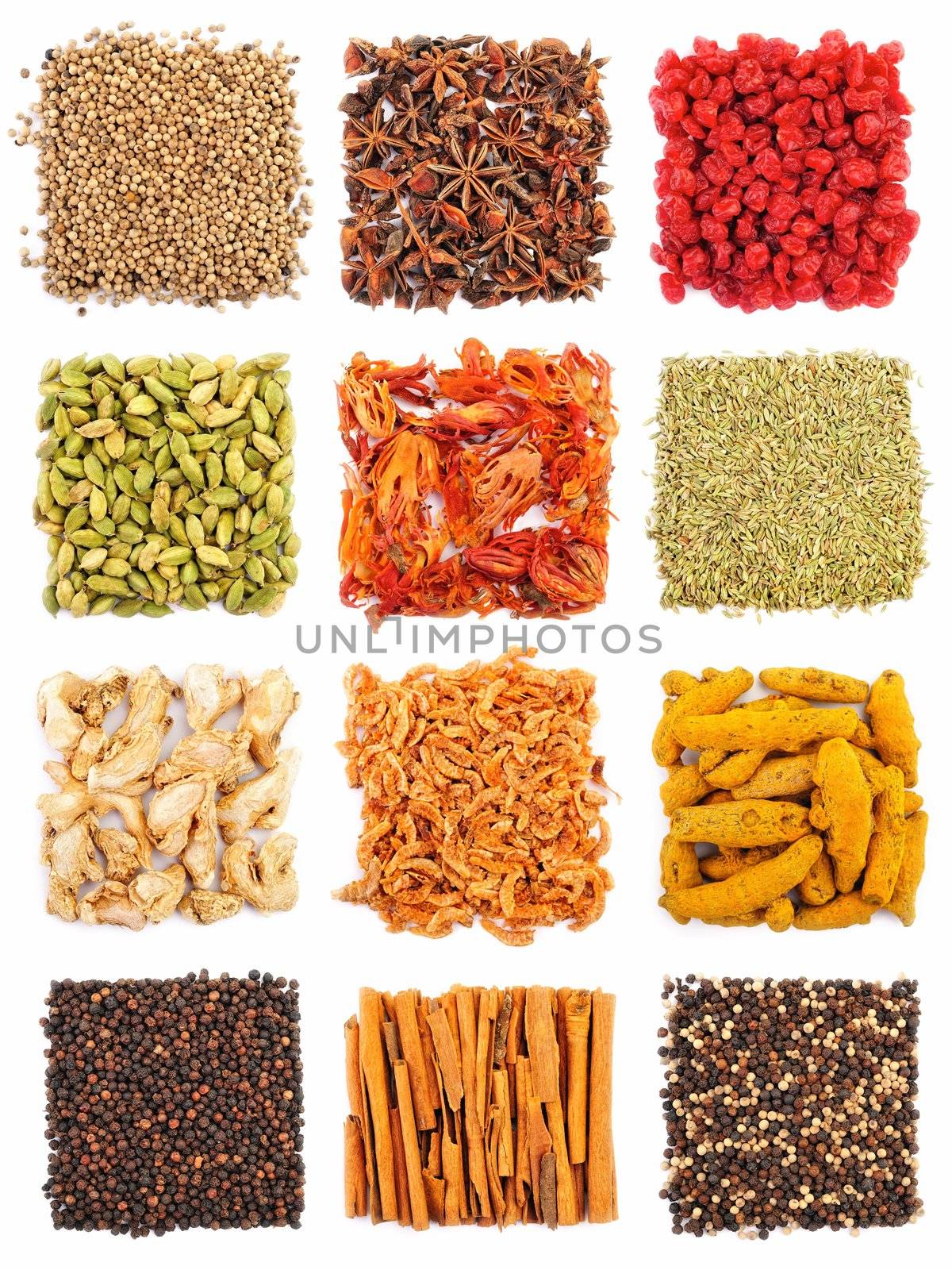 Variety of dried spices are arranged in square forms