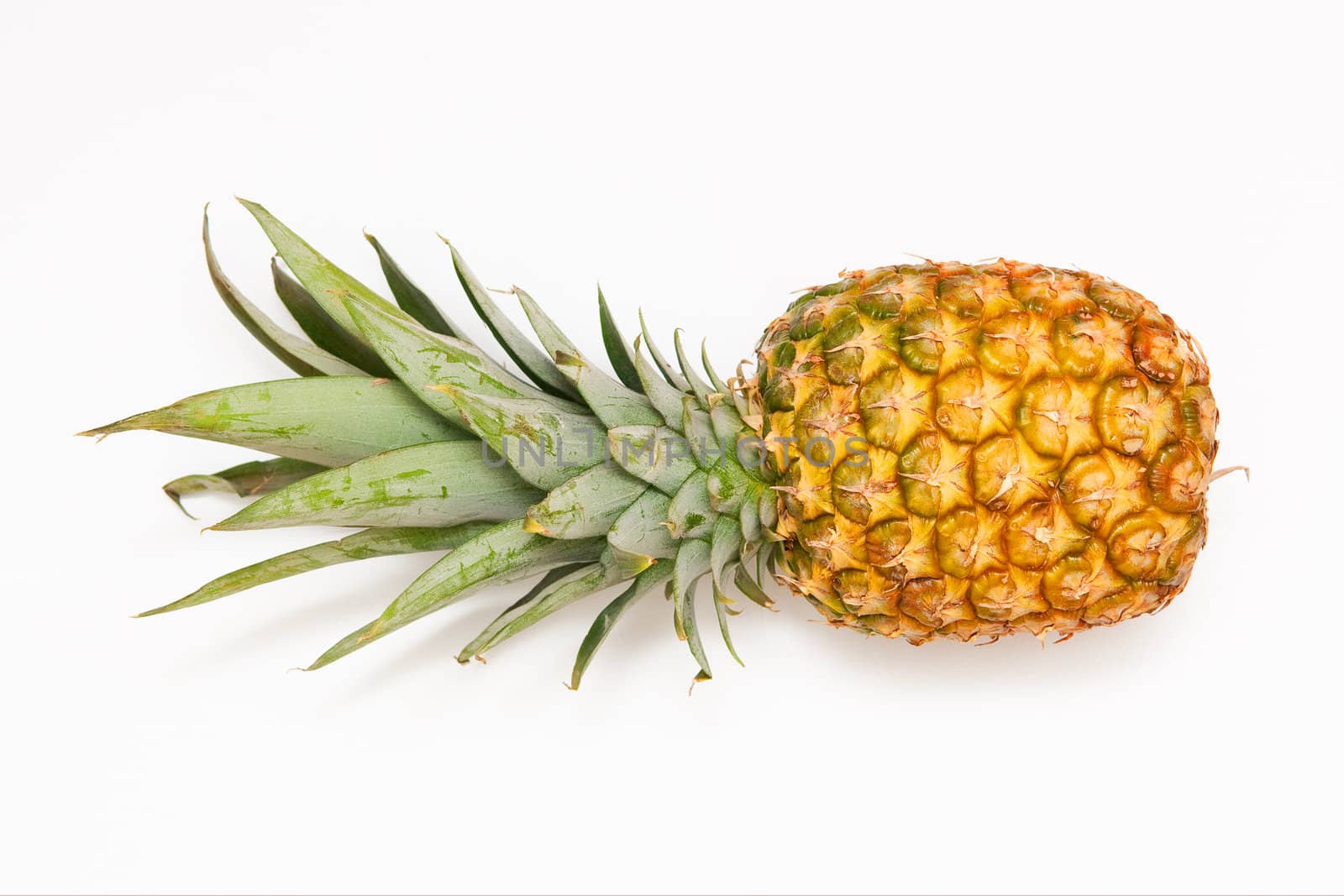 Pineapple by Yaurinko