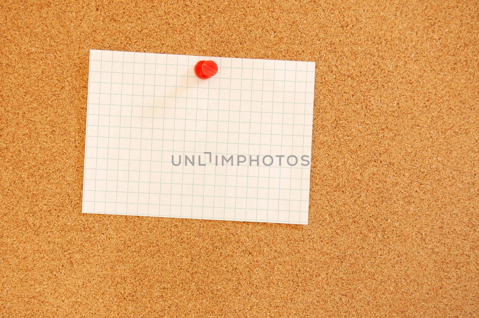 blank and empty sheet paper with copyspace on bulletin board in office