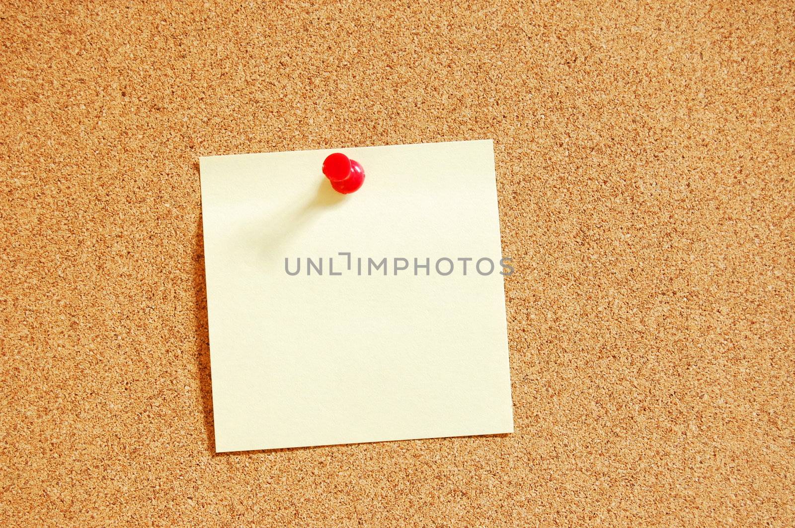 blank and empty sheet paper with pin on bulletin board