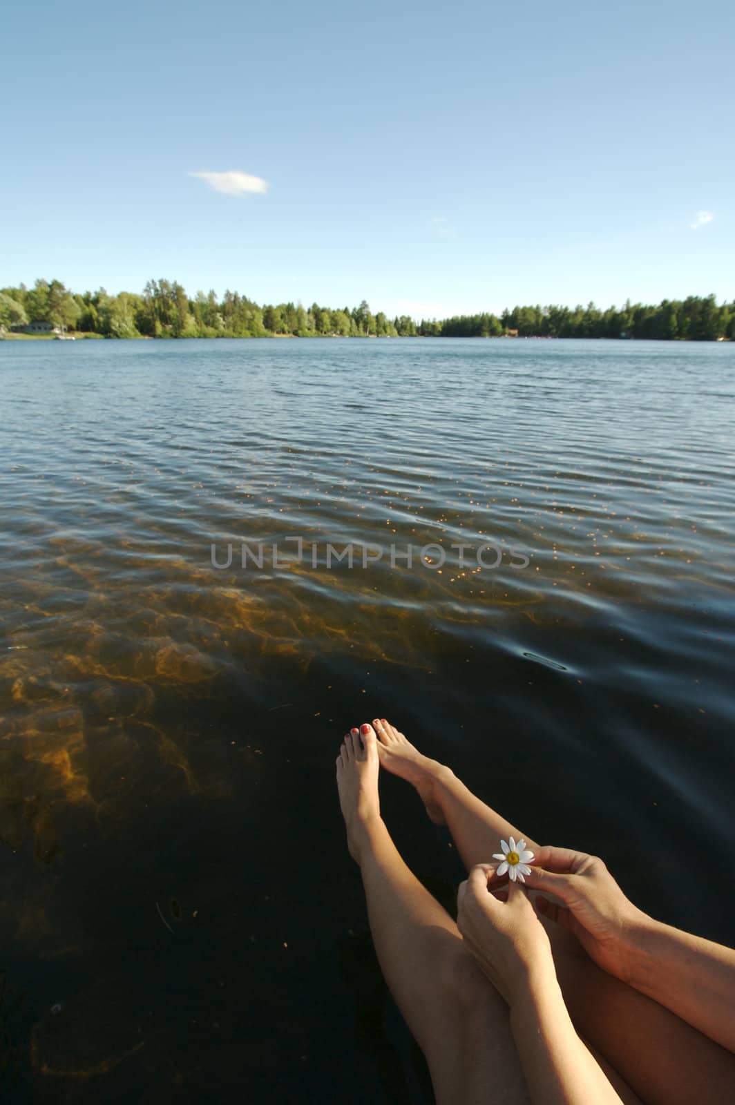 Relaxing on the Dock on a Summer Day