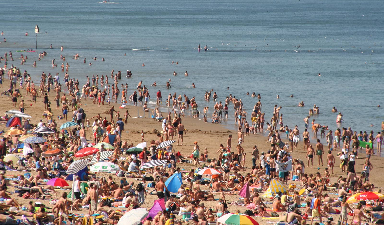 Crowded beach in summer in Scheveningen, Holland